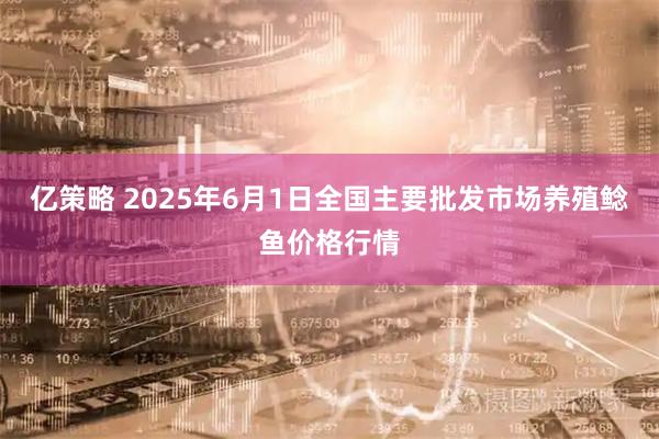 亿策略 2025年6月1日全国主要批发市场养殖鲶鱼价格行情