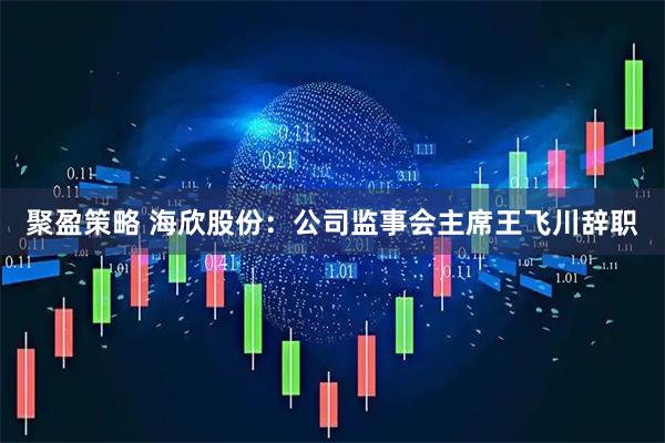 聚盈策略 海欣股份：公司监事会主席王飞川辞职