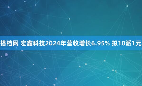 搭档网 宏鑫科技2024年营收增长6.95% 拟10派1元