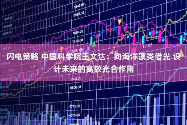 闪电策略 中国科学院王文达：向海洋藻类借光 设计未来的高效光合作用