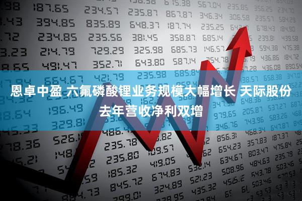 恩卓中盈 六氟磷酸锂业务规模大幅增长 天际股份去年营收净利双增