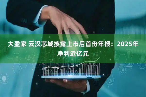 大盈家 云汉芯城披露上市后首份年报：2025年净利近亿元
